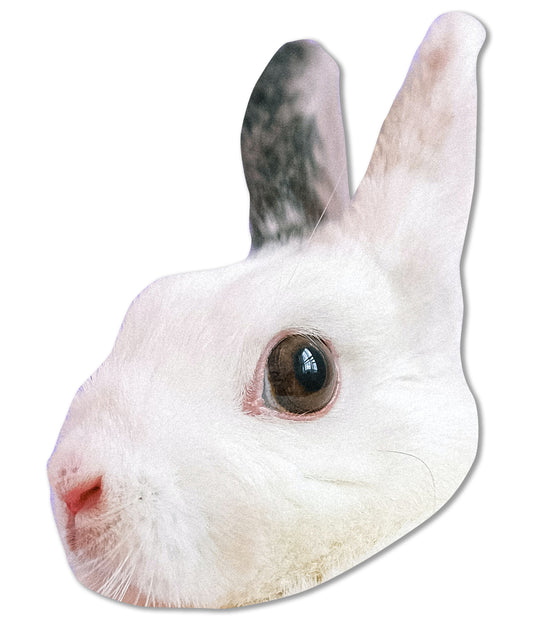 Custom Cardstock Pet Big Head (BUY 5 GET 15% OFF)