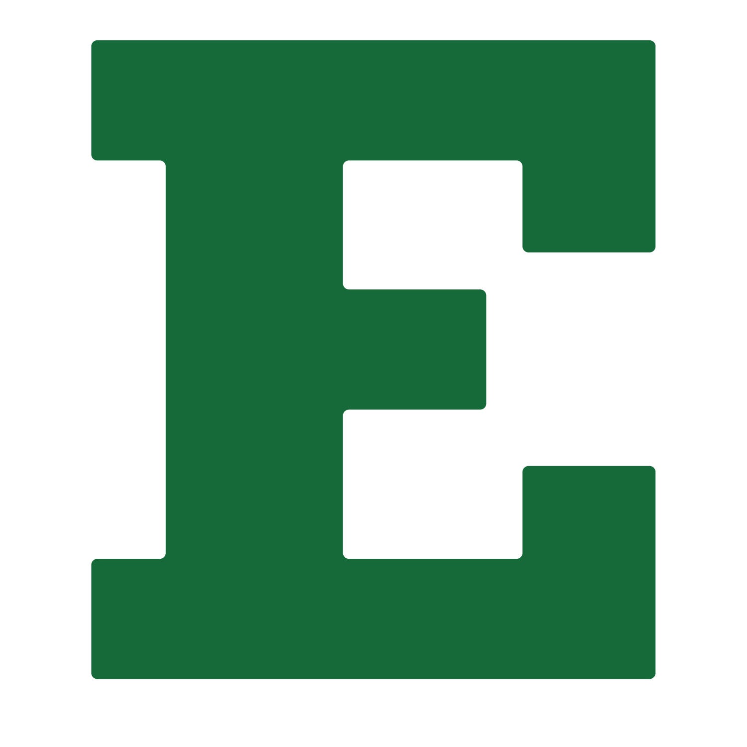 Eastern Michigan Eagles logo Iron On Patch