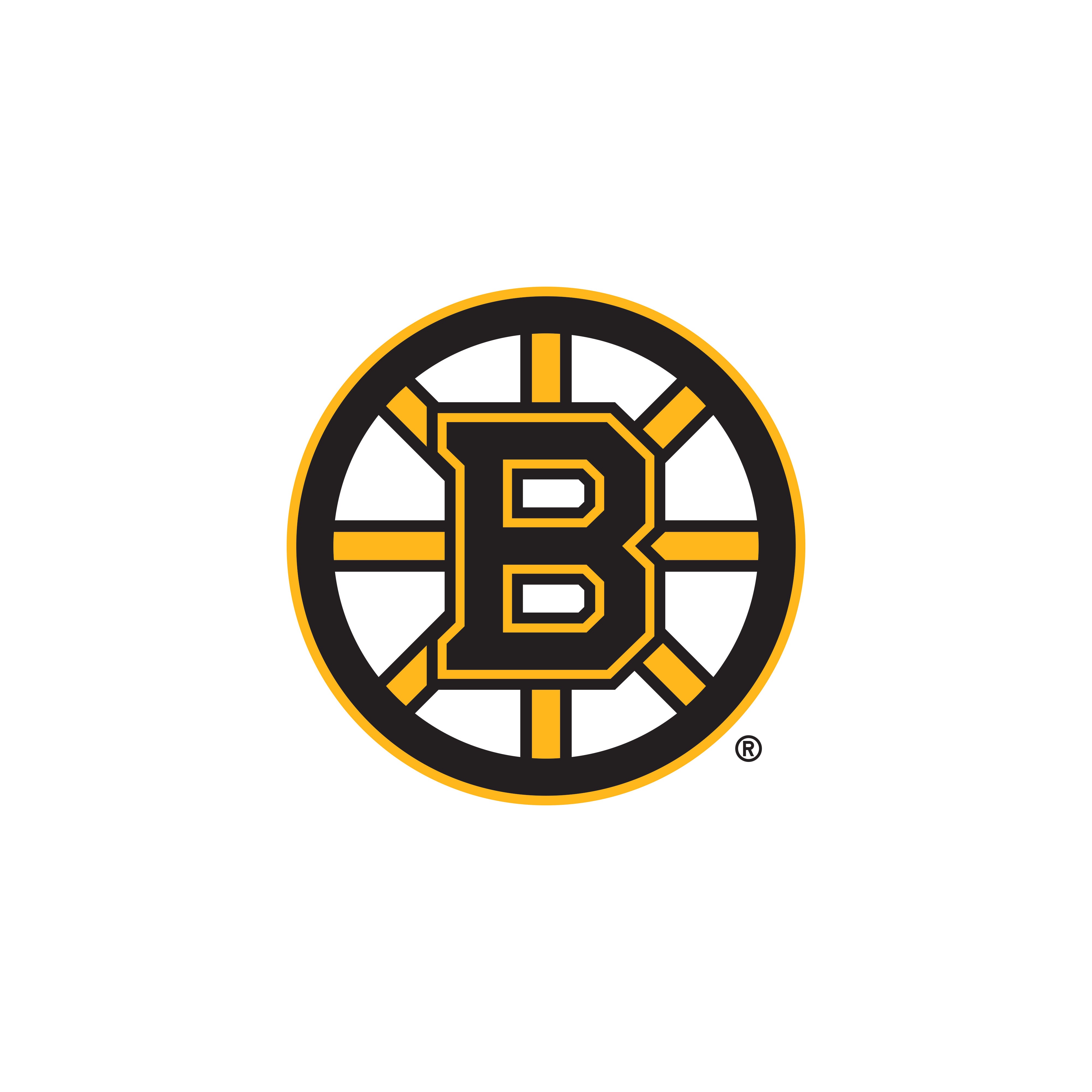 Boston Bruins Aluminum Embossed Hockey Logo Emblem