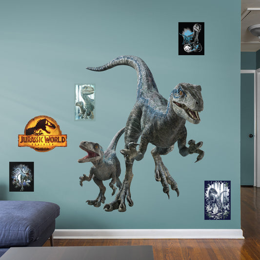 Jurassic World Dominion: Blue & Beta Velociraptor RealBig - Officially Licensed NBC Universal Removable Adhesive Decal