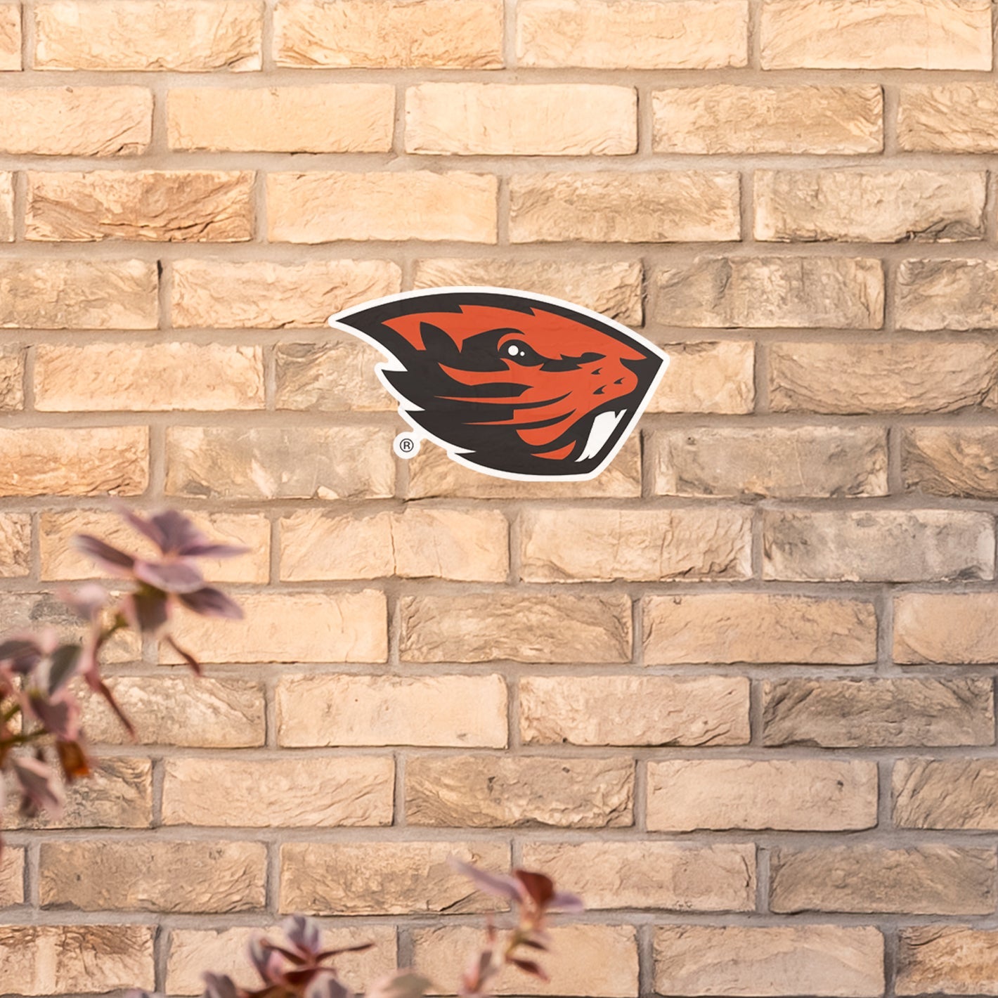 Oregon State Beavers: Outdoor Logo - Officially Licensed NCAA Outdoor Graphic