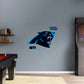 Carolina Panthers:   Logo        - Officially Licensed NFL Removable     Adhesive Decal
