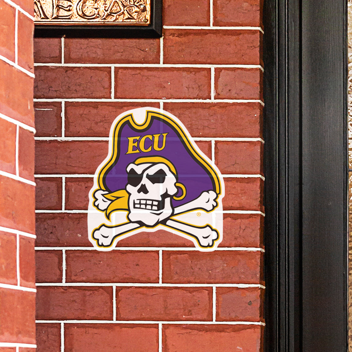 New ECU Pirates field logo, ECU's new 50 yard line logo dur…