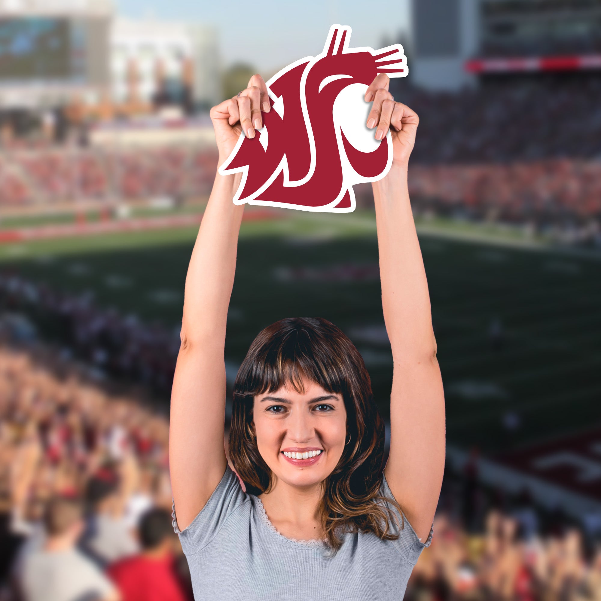 thumbnail image 2 of Washington State Cougars Die-Cut Laminated Vinyl Decal – Multi-Color NCAA Team Sticker 2 of 5