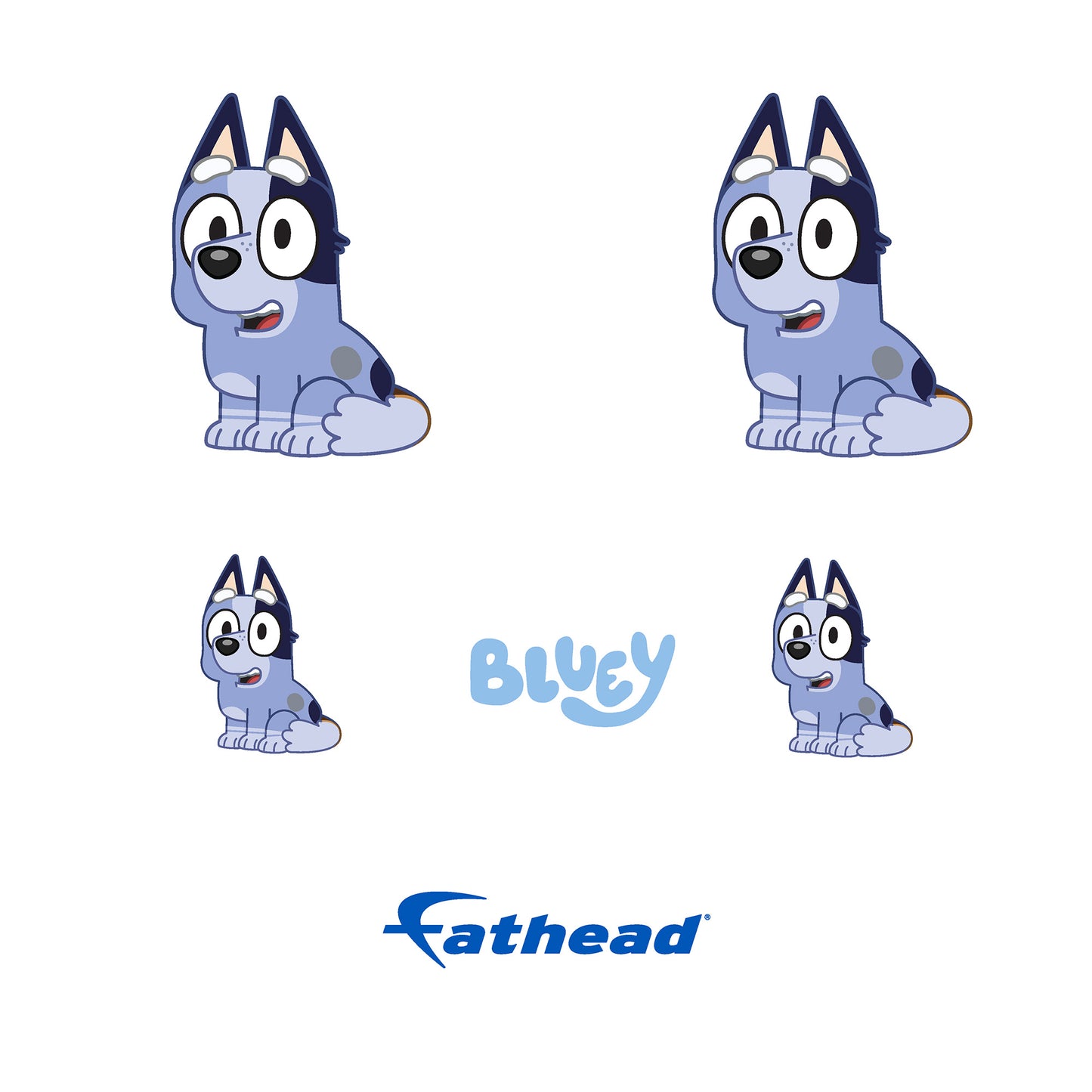 Bluey: Socks Minis - Officially Licensed BBC Removable Adhesive Decal