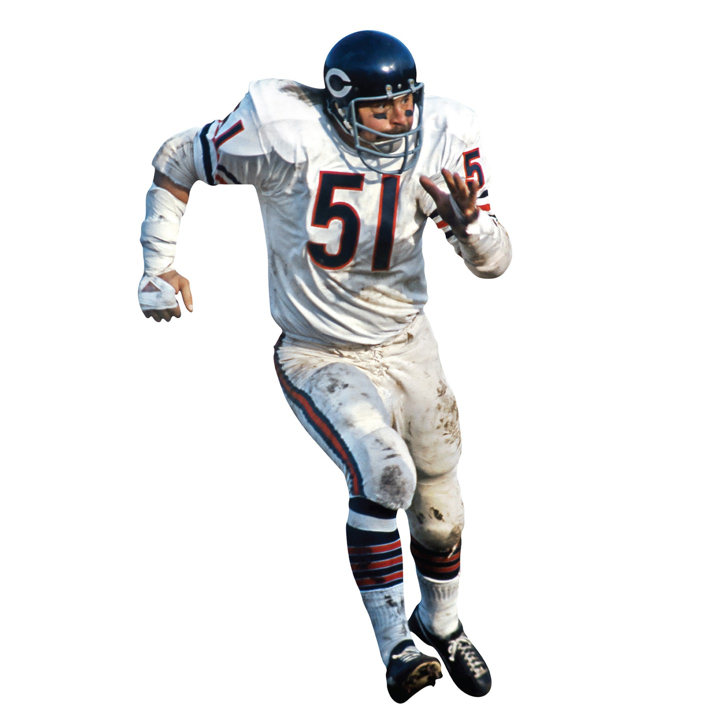 Chicago Bears: Dick Butkus Legend        - Officially Licensed NFL Removable     Adhesive Decal