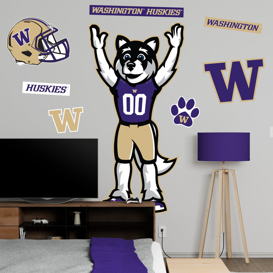 Harry - RealBig Illustrated Mascot Collection - Official NCAA - Washington Huskies - Reusable Vinyl Wall Decals