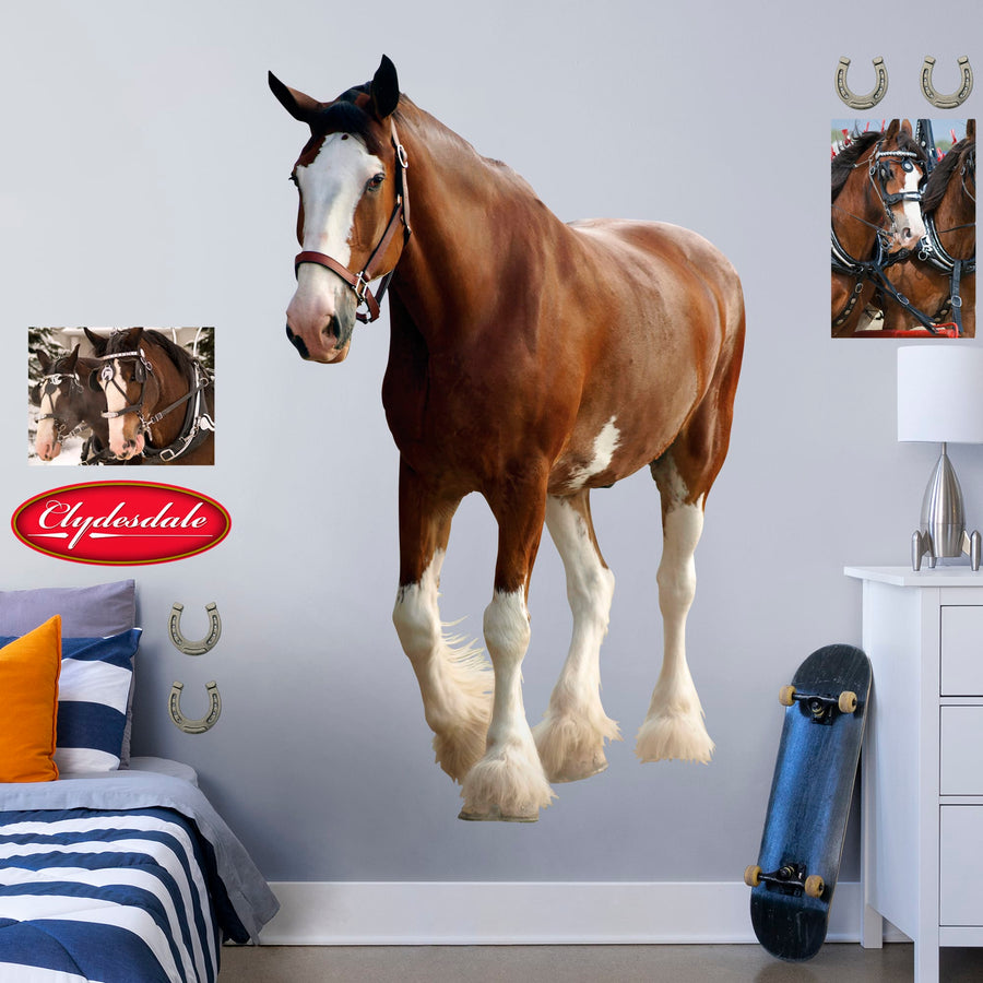 Clydesdale        -   Removable     Adhesive Decal