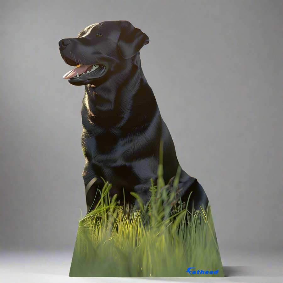 Custom - Pets Stand Out - Cardboard Cutout
