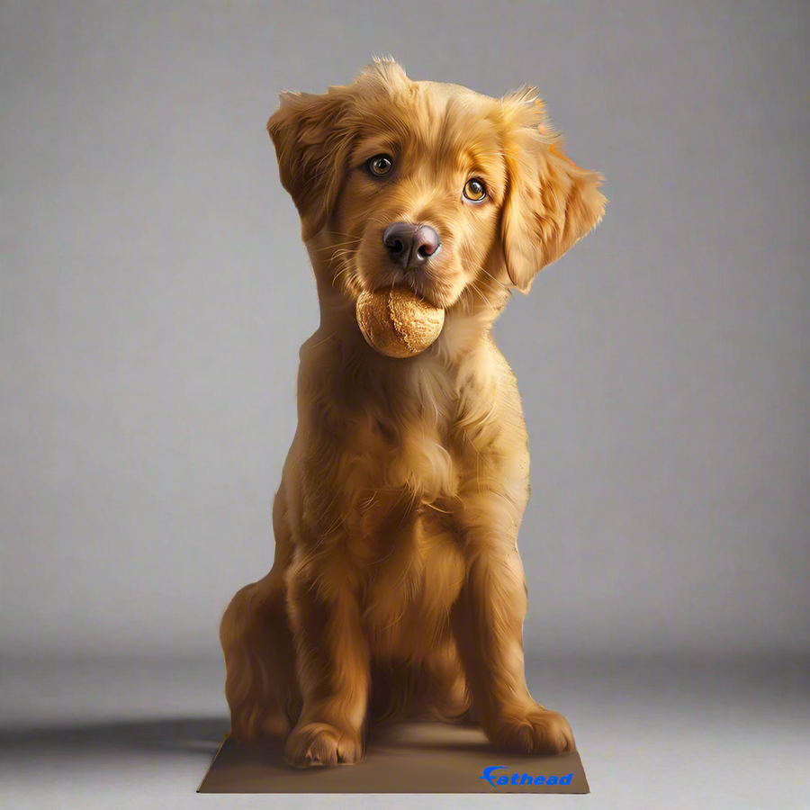 Custom - Pets Stand Out - Foam Core Cutout