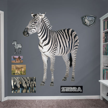 Zebra - Removable Vinyl Decal