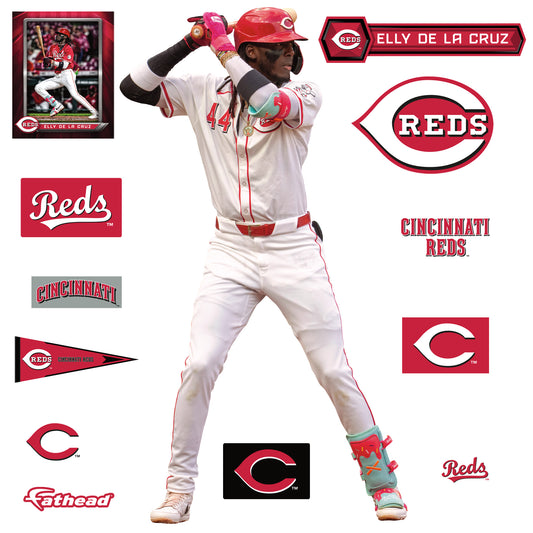 Life-Size Athlete +12 Decals  (43"W x 78"H) 