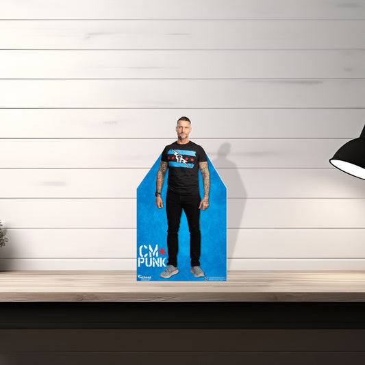 CM Punk – tagged product-type-stand-out-mini – Fathead