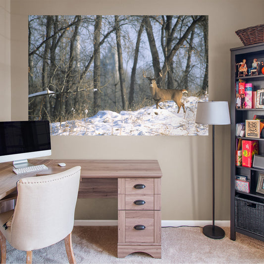 Deer In The Woods Mural        -   Removable Wall   Adhesive Decal