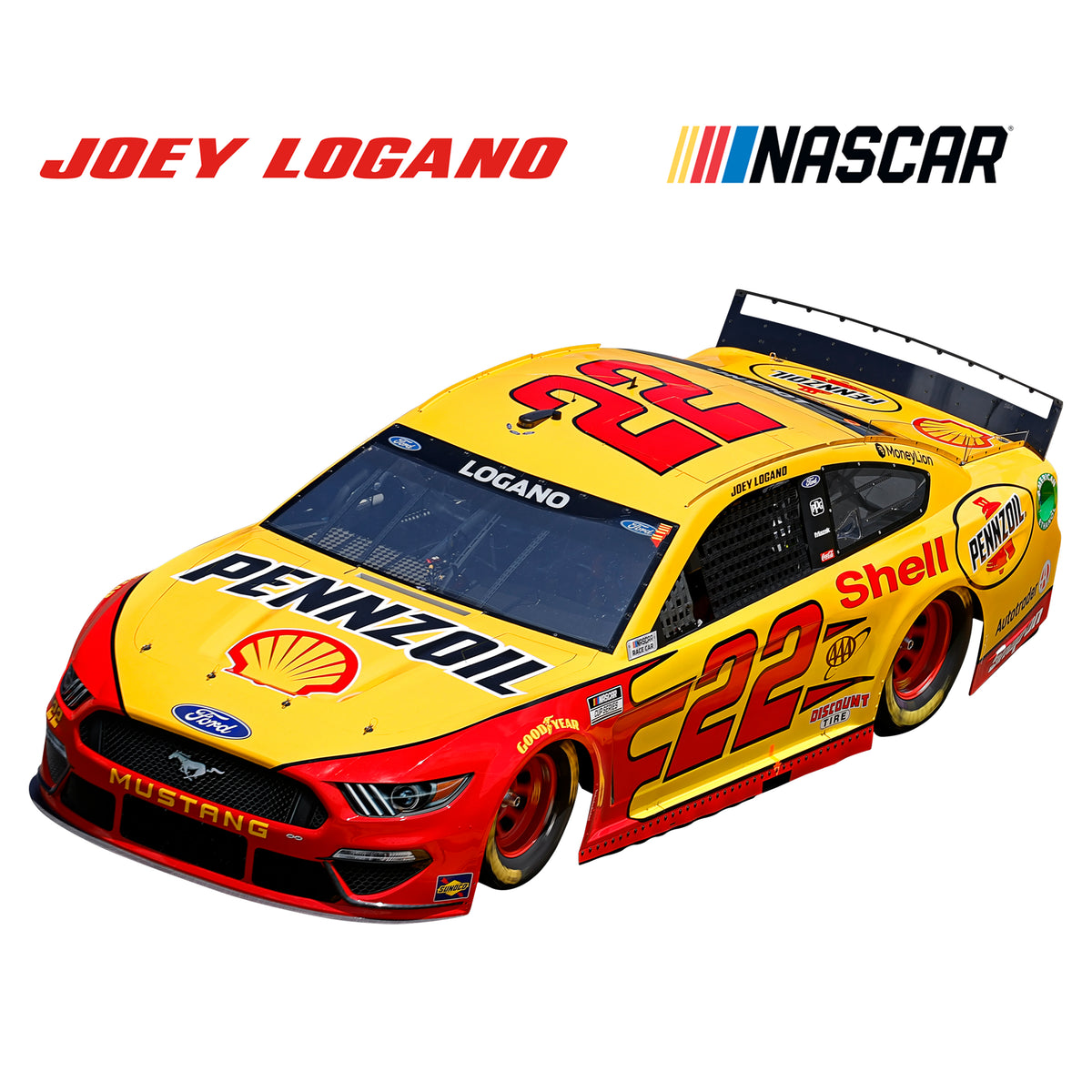 Nasca Icon Nascar Icon
