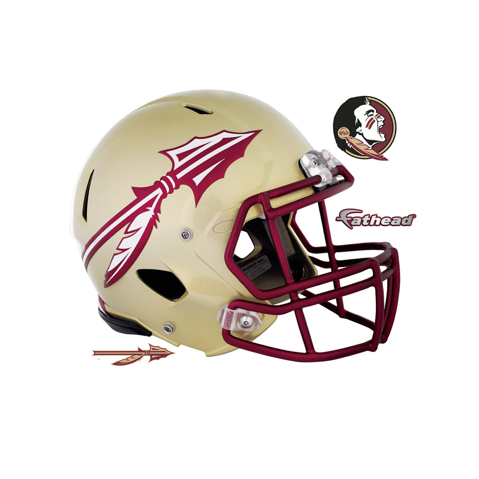 Large Helmet  (12"W x 10.5"H)