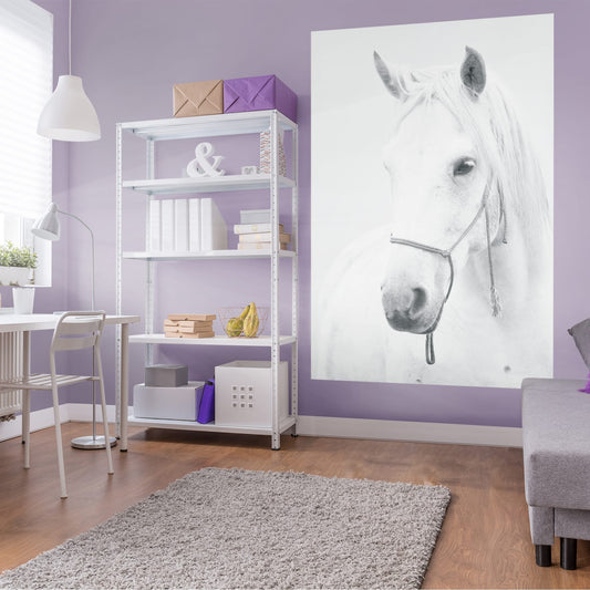 Horse White Horse Mural        -   Removable Wall   Adhesive Decal
