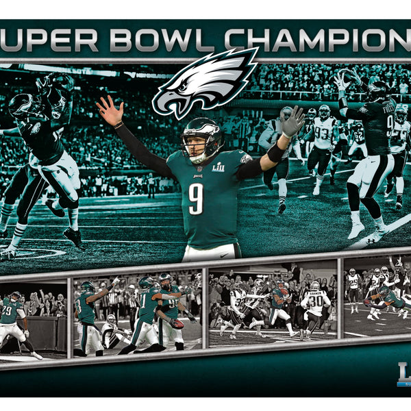 Philadelphia Eagles 2018 Super Bowl Championship Sticker Decal 12 Different  Size