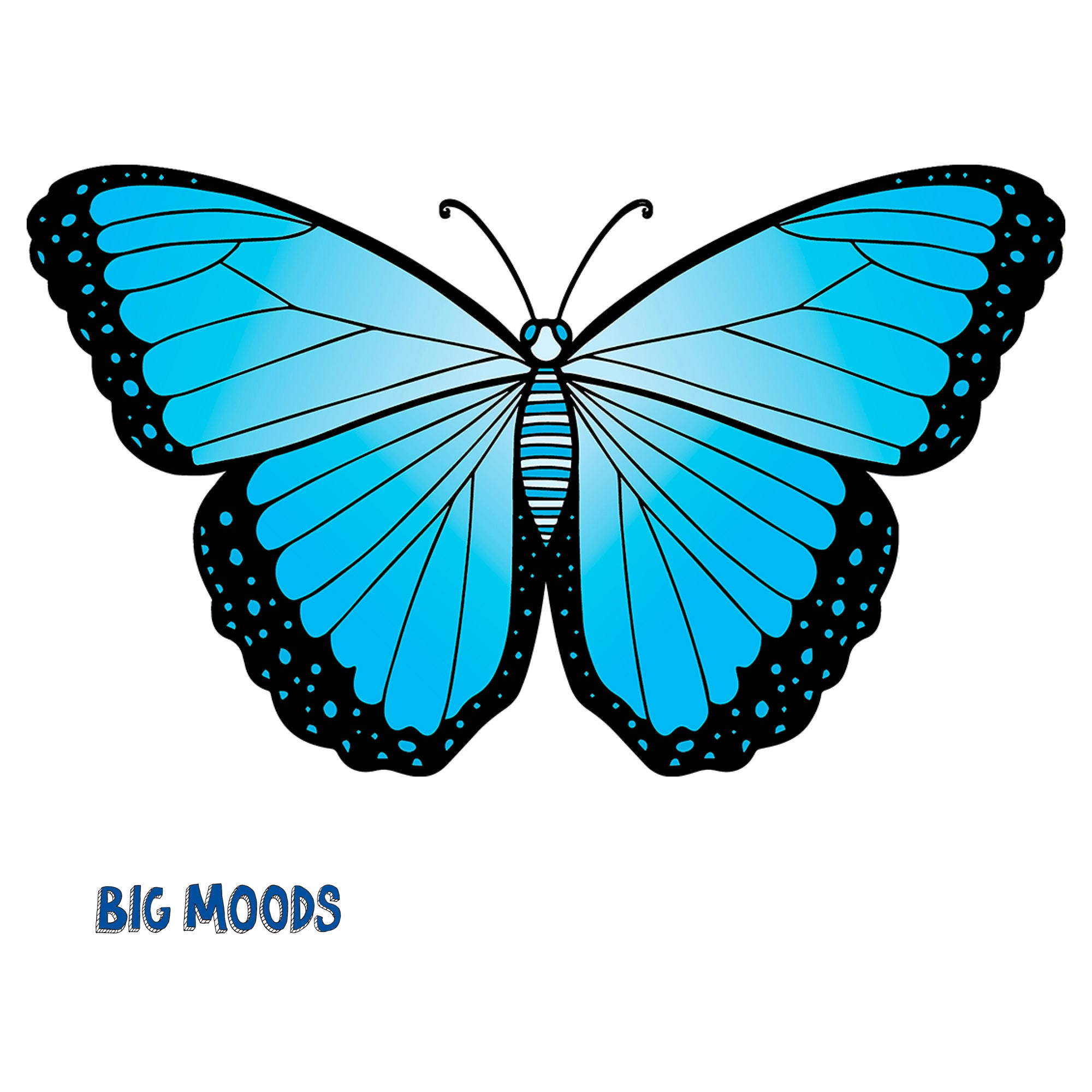 Master Butterfly Drawings in 5 Simple Steps - Full Bloom Club
