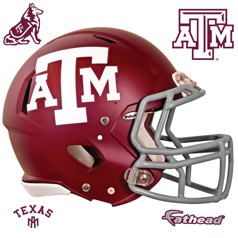 Giant Helmet  (54"W x 46"H)
