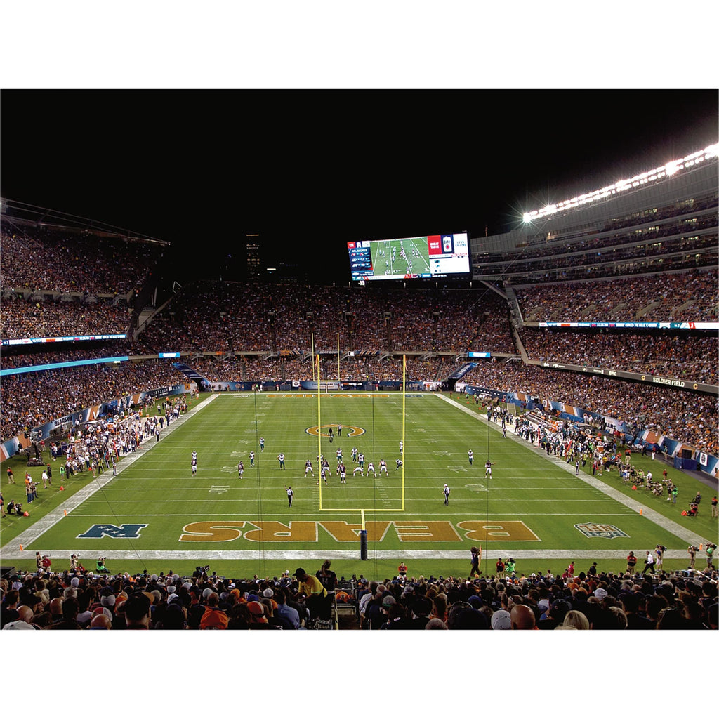 LARGE   (54"W x 36"H)