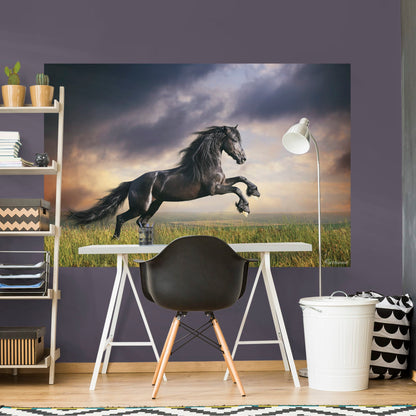 Horse Stormy Skies Mural        -   Removable Wall   Adhesive Decal