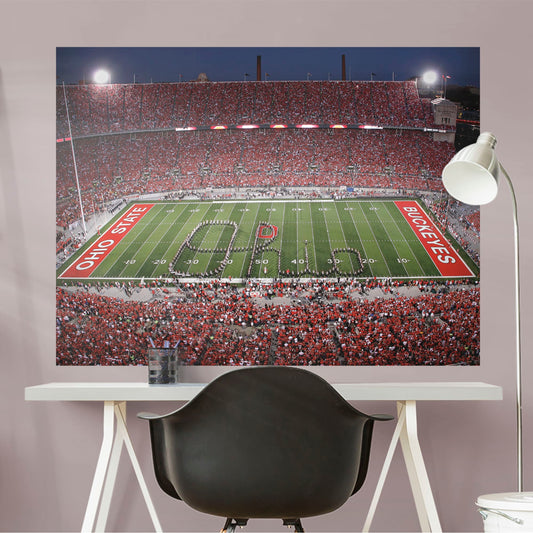 Ohio State U: Ohio State Buckeyes Ohio Script Stadium Mural        - Officially Licensed NCAA Removable     Adhesive Decal