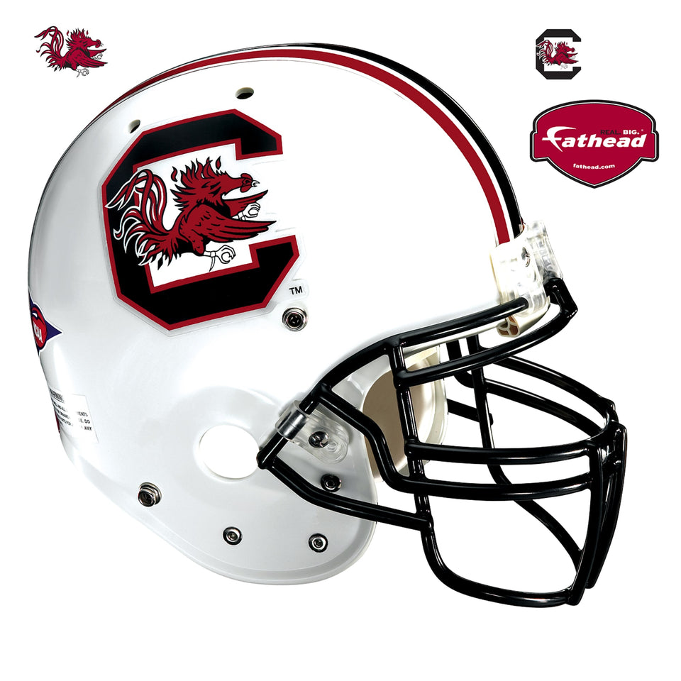 Giant Helmet  (54"W x 50"H)