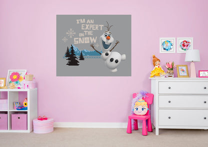 Frozen:  Expert on Snow Mural        - Officially Licensed Disney Removable     Adhesive Decal