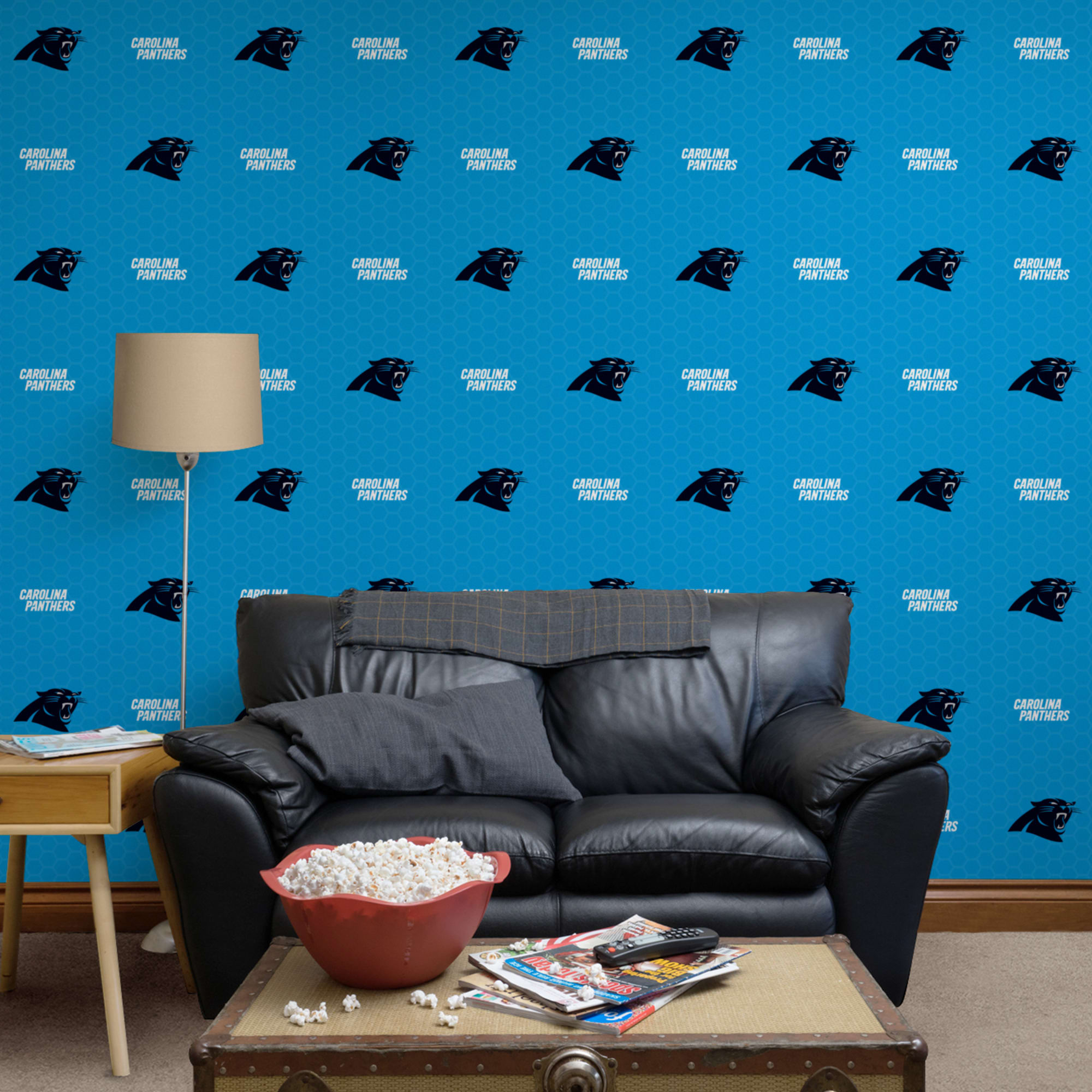 HD wallpaper: carolina panthers desktop backgrounds, human representation |  Wallpaper Flare