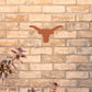 Texas Longhorns: Outdoor Logo - Officially Licensed NCAA Outdoor Graphic
