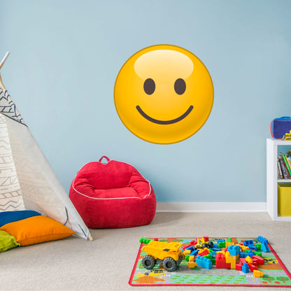 Fathead Faces:  Smiley        -   Removable     Adhesive Decal