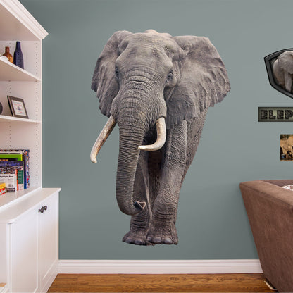 Huge Animal + 3 Decals (51"W x 78"H)