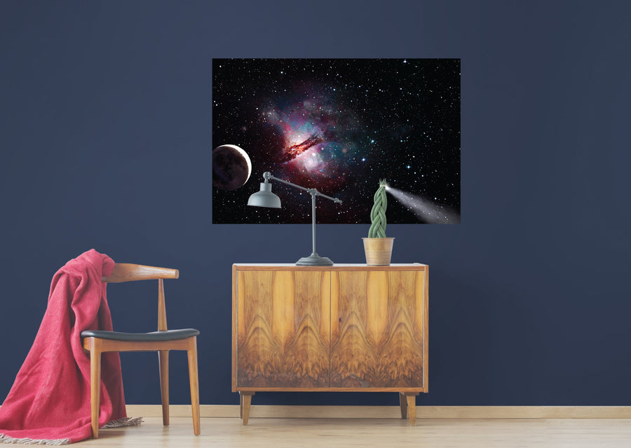Planets: Asteroid Mural        -   Removable     Adhesive Decal