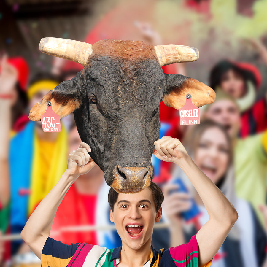 PBR:  Chiseled   Foam Core Cutout  - Officially Licensed Pro Bull Riding    Big Head