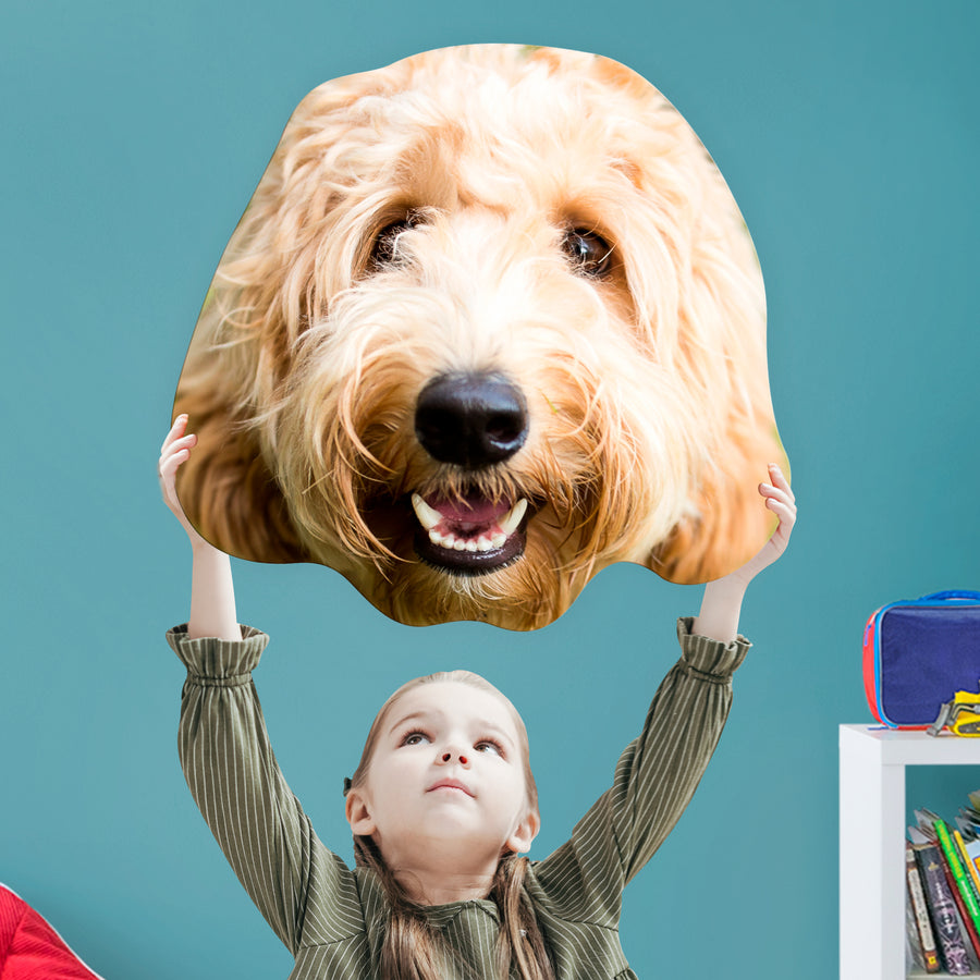 Animals: Labradoodle Foam Core Cutout - Big Head