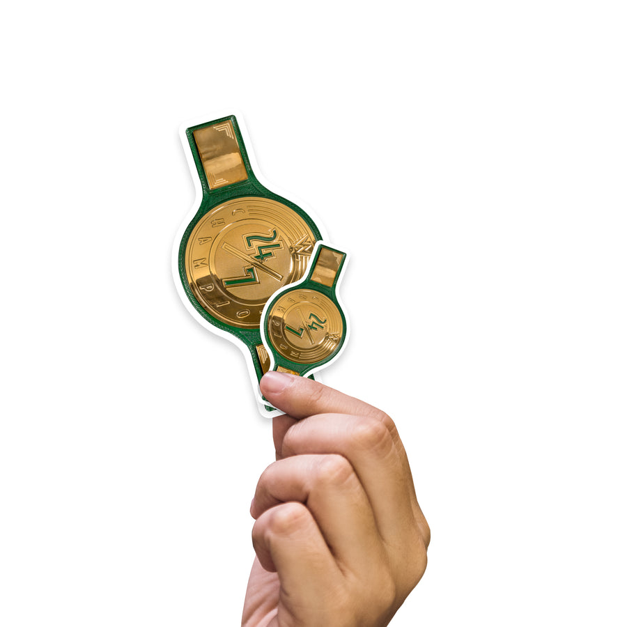 24/7 Title - 5 Minis (Mixed Sizes) - Official WWE - Reusable Vinyl Decals