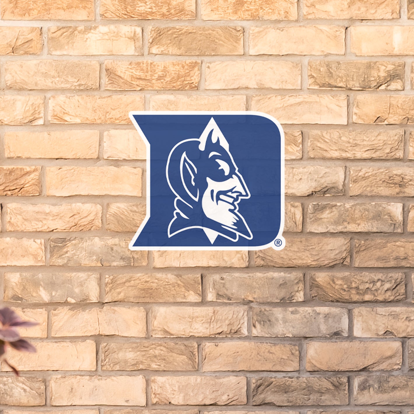 Duke Blue Devils:   Outdoor Logo        - Officially Licensed NCAA    Outdoor Graphic