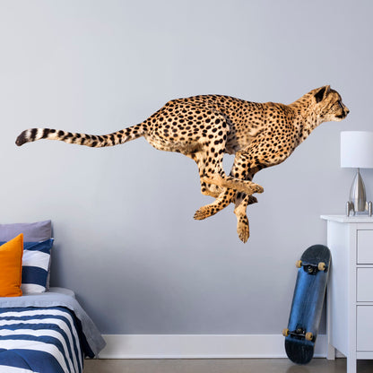 Life-Size Animal + 14 Decals (89"W x 42"H)