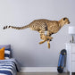 Life-Size Animal + 2 Decals (89"W x 42"H)