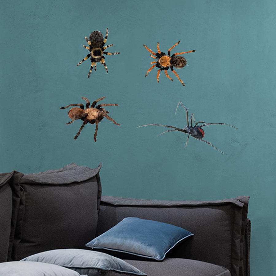 Pranks: Prank Spiders Collection - Removable Adhesive Decal