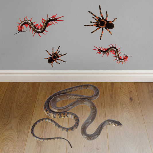 Creepy Crawlers Collection - Removable Vinyl Decal