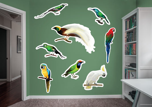 Jungle:  Beauty Collection        -   Removable Wall   Adhesive Decal