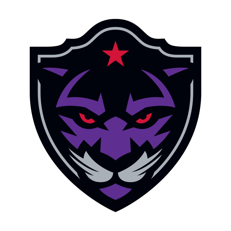 Giant Logo +3 Decals  (33"W x 38"H) 
