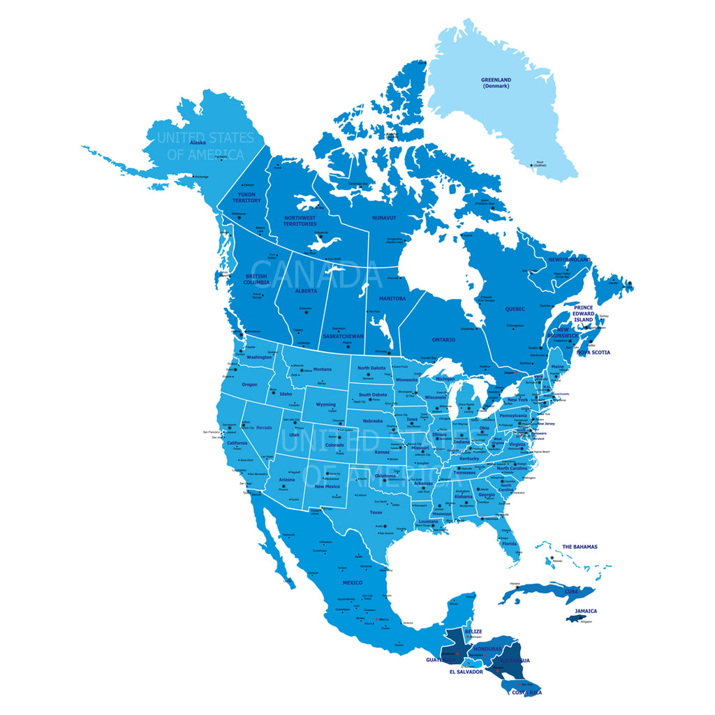 LARGE   (39"W x 48"H) 