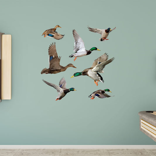 Ducks Collection - Removable Vinyl Decals