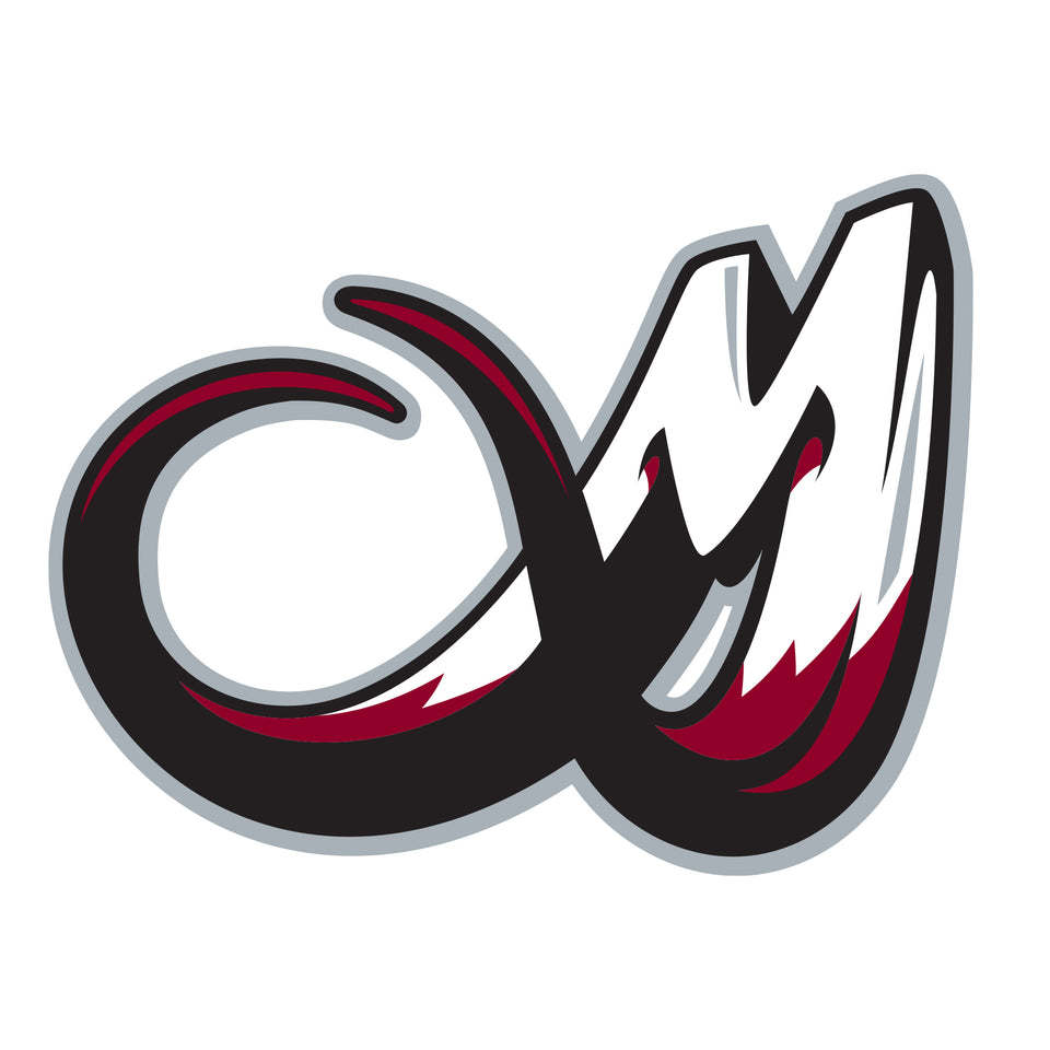 Giant Logo +3 Decals  (38"W x 29"H) 