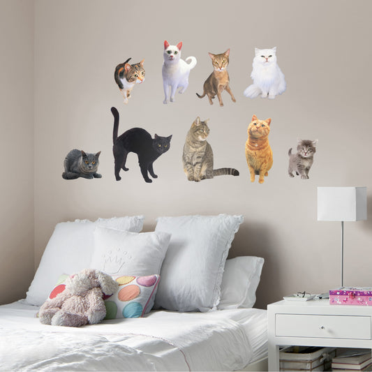 Cats Collection - Removable Vinyl Decals