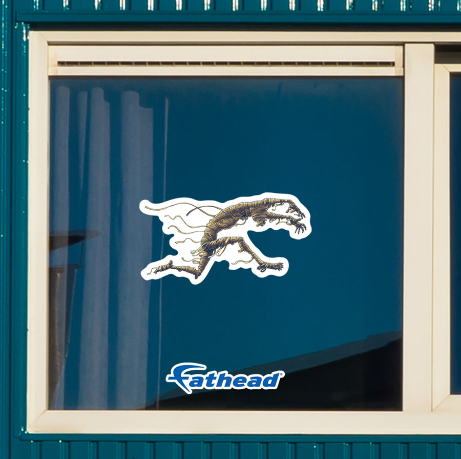 Halloween: Mummy Window Clings        -   Removable Window   Static Decal