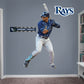 Tampa Bay Rays: Wander Franco 2021        - Officially Licensed MLB Removable     Adhesive Decal